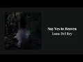 Download Lagu [30 mins loop] Lana Del Rey - Say Yes To Heaven