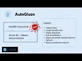 AutoML using AutoGluon