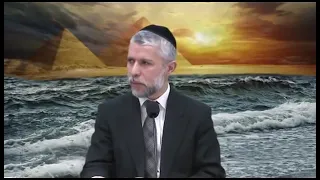 הרב זמיר כהן פרשת בשלח פרשת שבוע מומלץ מאוד 