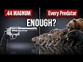 44 Magnum vs Every Deadly Predator in America Where It Fails