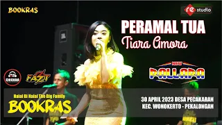 Download PERAMAL TUA - TIARA AMORA (NEW PALLAPA LIVE BOOKRAS 2023) MP3