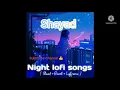 Shayad (Lofi Remix)/ Arijit Singh/ Bollywood Lofi Song #bollywoodlofisong