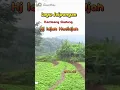 Download Lagu Trending Lagu Jaipong Kembang Gadung Juru Kawih Hj Idjah Hadidjah