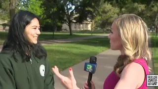 The UC Davis Picnic Day is this Saturday What to know