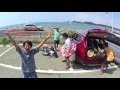 Download Lagu [MV] natsu no mushi / fula