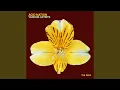 Download Lagu Acid Spin (Originele Mix)