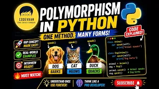 Polymorphism in Python Explained One Method Many Forms