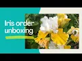 Download Lagu Iris Order Unboxing