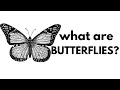 What Are Butterflies