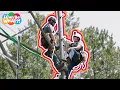 Learn how tower technicians do their job - and what it s like working up in the air
