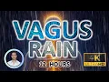 Soothing Vagus Nerve Rain Cortisol Flushing Noise 12 Hours Sleep Focus Tinnitus Relief