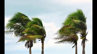 صوت المطر مع آيات قرآنية تهز القلوب 