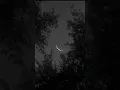 Download Lagu Rauf \u0026 Faik - Can't Buy Me Loving | Aesthetic | Trending | Sad | Alone #song #rauf_faik #darkvibes