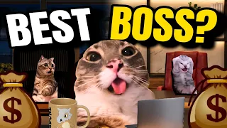 CAT MEME: THE BOSS FROM HEAVEN FULL EPISODE