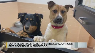 Santa Fe Animal Shelter offering 50 adoptions free adoptions in Edgewood
