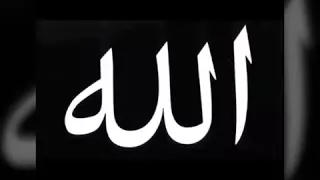 وصلة إنشادية   يا هنا قلبي وعيني   من جمال الكون خمري   مجلس السادات المجاهدين دندنها