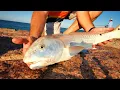 Catching and Tagging a Red Fish in Texas