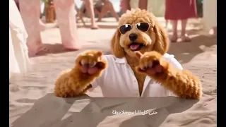خلي اللحظه احلي لحظه    أحمد سعد  أحلي لحظه  اغاني  دندنها