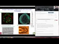 CC3D Workshop Module 1 1 Introduction to Virtual Tissue Modeling in CompuCell3D August 2nd 2021