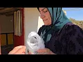 Nomadic Woman Faces Her Cruel Husband in Court! Will Justice Finally Be Served?