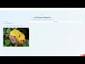 Leaf Disease Detection Using Deep Learning CNN Project Full Working Dem