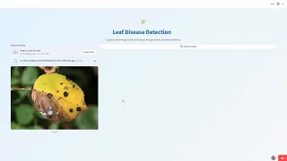Leaf Disease Detection Using Deep Learning CNN Project Full Working Dem