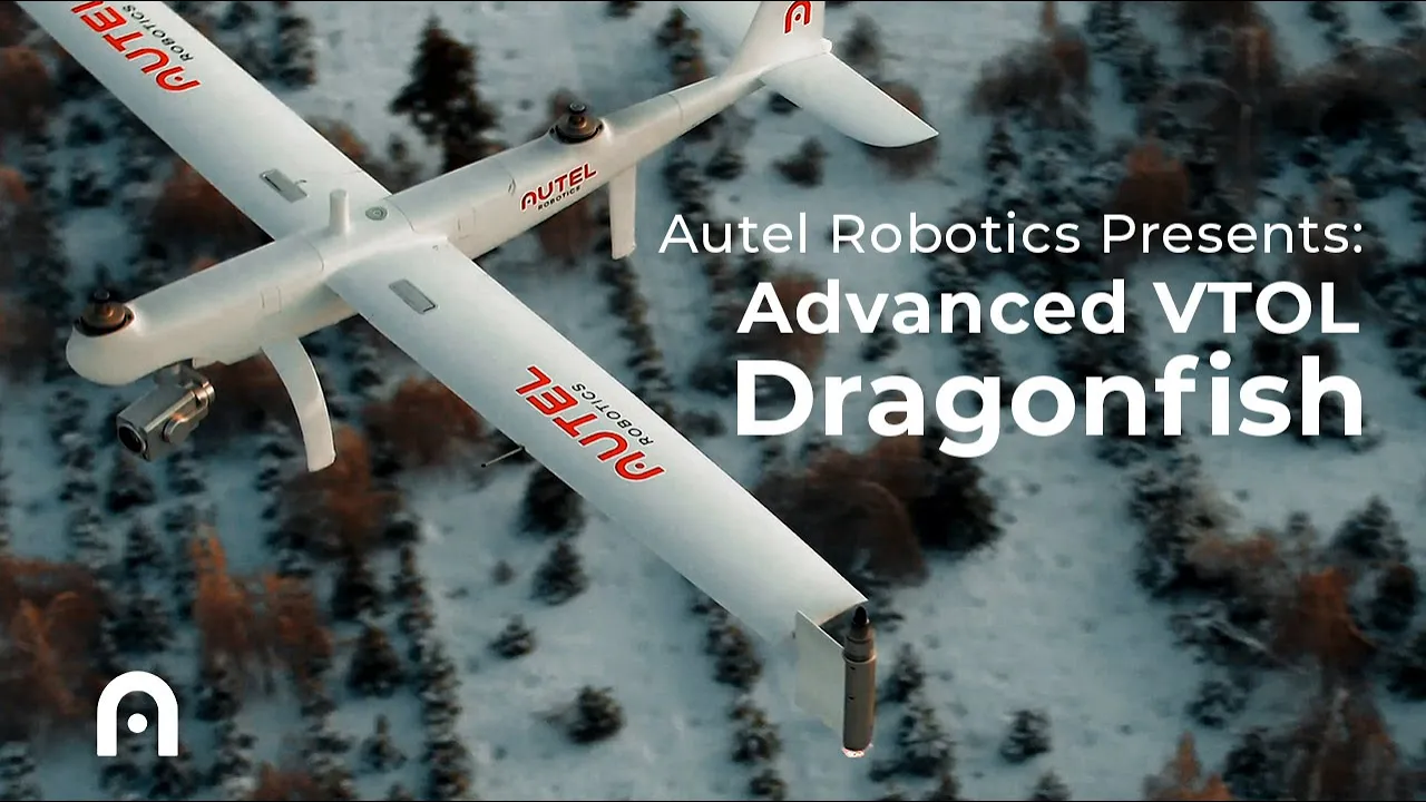 DRAGONFISH Animated typography video sample