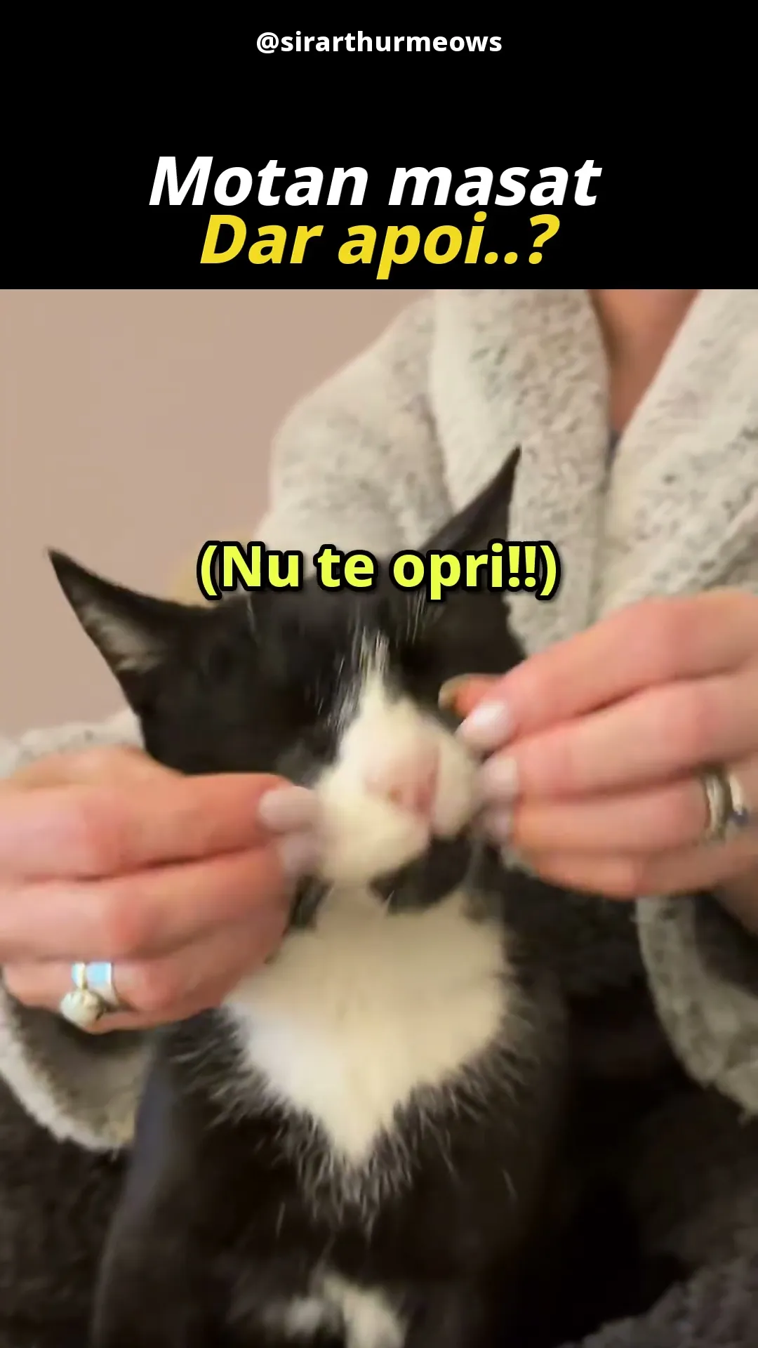 Cine A Oprit Masajul? 😾
