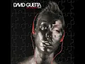 Love Don't Let Me Go - David Guetta