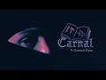 CARNAL (Visualizer) - Peso Pluma, Natanael Cano