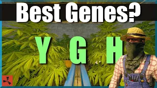 Rust Genetics Guide What They Do When to Use Y G or H