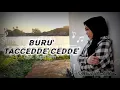 Download Lagu Buru Taccedde' Cedde' - Fitri Adiba Bilqis || Cipt. Supri Ririn (Dipopulerkan Oleh Sardi Uwo)