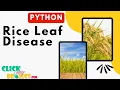Python Image Processing - High-Quality Rice Leaf Disease Image Data Augmentation