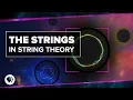 What are the Strings in String Theory