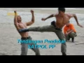 Download Lagu Anggota Satpol PP Arogan, Kasar dan Punya Tendangan Mematikan