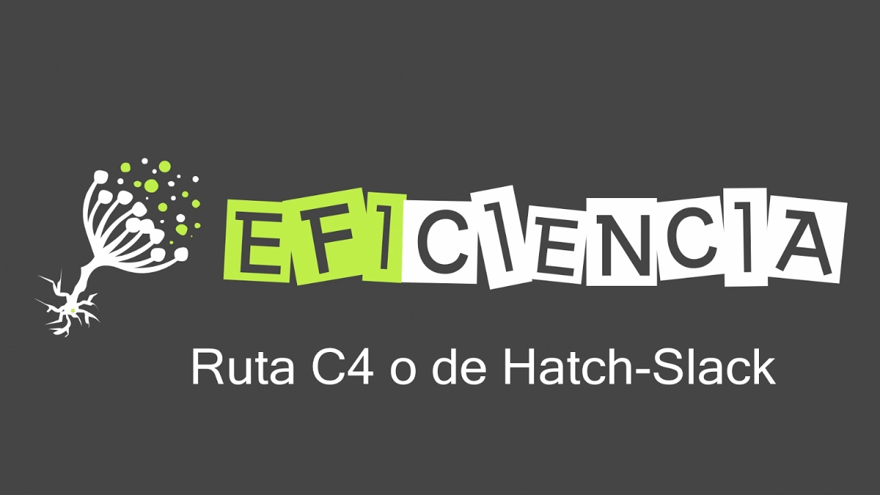 RUTA C4 O DE HATCH-SLACK