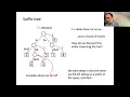 Suffix trees suffix links