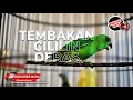 Download Lagu 🔴 SERINDIT ISIAN CILILIN Tembakan Bertubi Tubi Tajam Melengking Masteran Murai Batu TOP