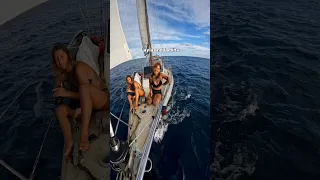 Meet the Crew of SV Elixir!