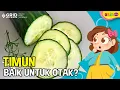 Download Lagu Fakta Menarik - Manfaat Timun yang Baik untuk Menjaga Kesehatan Otak dan Tubuh Manusia