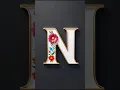 Different Style Letter N Logo For DP Letter N Name Status