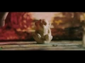 Baustelle - Nessuno