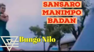 Download BUNGA NILO - SANSARO MANIMPO BADAN - RABAB TERPOPULER ZAMAN INI 2018 - lagu minang terbaru MP3