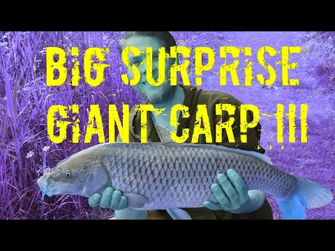 Simple fishing karper