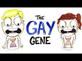 Does Everybody Have A Gay Gene