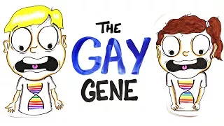 does everybody have a gay gene