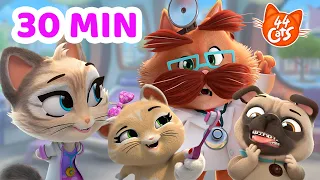 44 Cats | Got a Boo-boo? 🩺 Here come the Doctors! 🐾