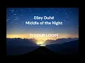 Download Lagu Elley Duhé - Middle of the Night [1 HOUR LOOP]