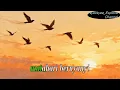 Download Lagu Karaoke Original Music~KEPADA ANGIN DAN BURUNG-BURUNG~franky \u0026 Jane //Teks Lirik //Ilustrasi