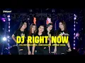 Lagu DJ RIGHT NOW ( Na na na ) • ERTERUWET OFFICIAL